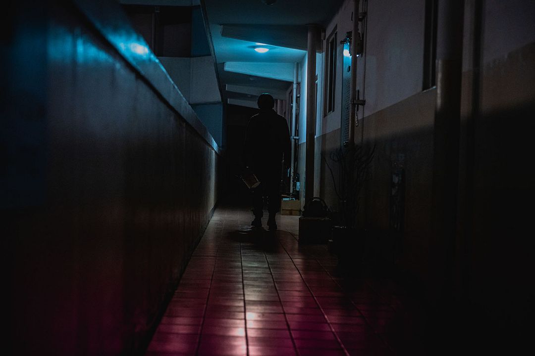 Noise