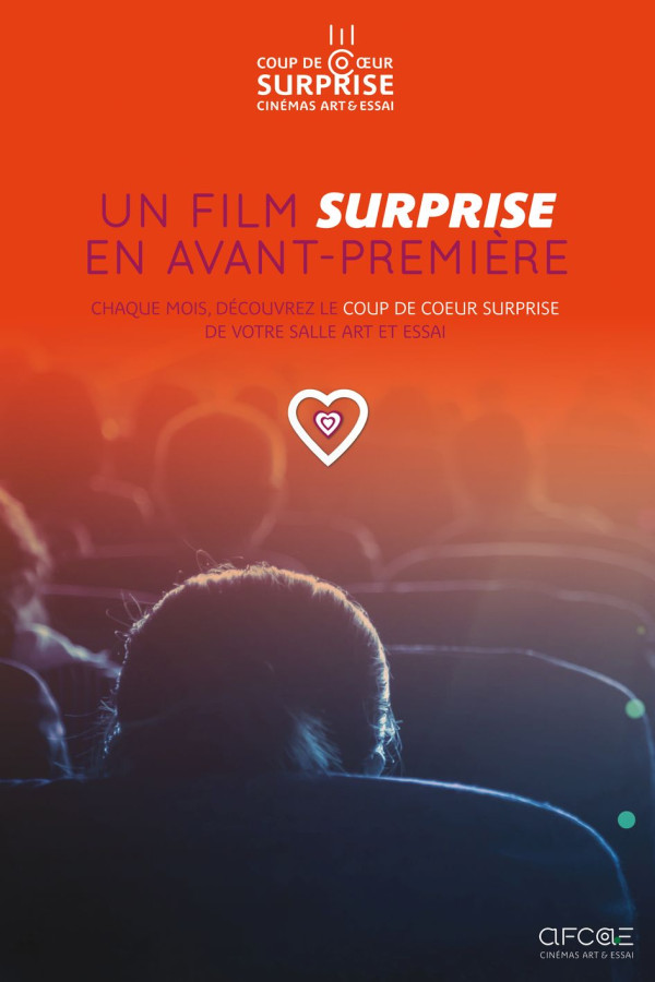 2025 11 COUP DE COEUR SURPRISE AFCAE 1