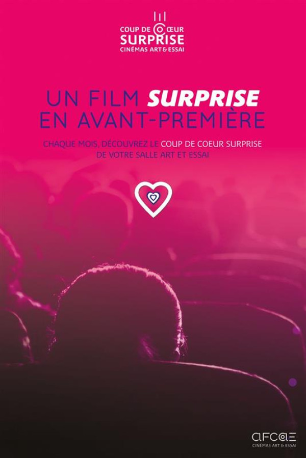 2026 01 COUP DE COEUR SURPRISE AFCAE 2