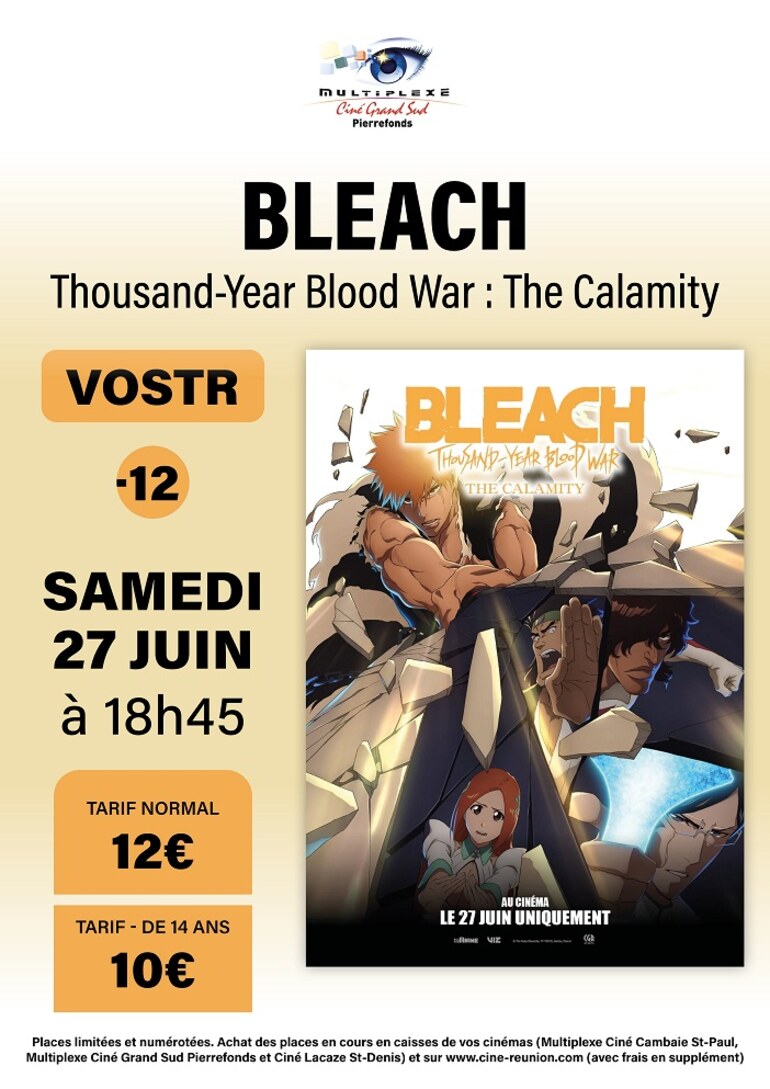 Bleach: Thousand-Year Blood War - The Calamity
