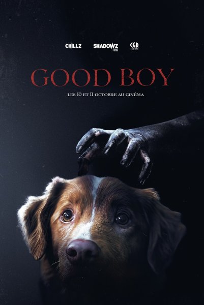 Good Boy